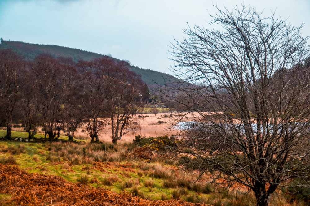 Wicklow mountains tips 5 - Wicklow Mountains: info, tips & bezienswaardigheden