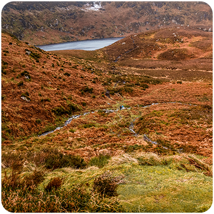wicklow mountains uitgelicht rond wicklow mountains