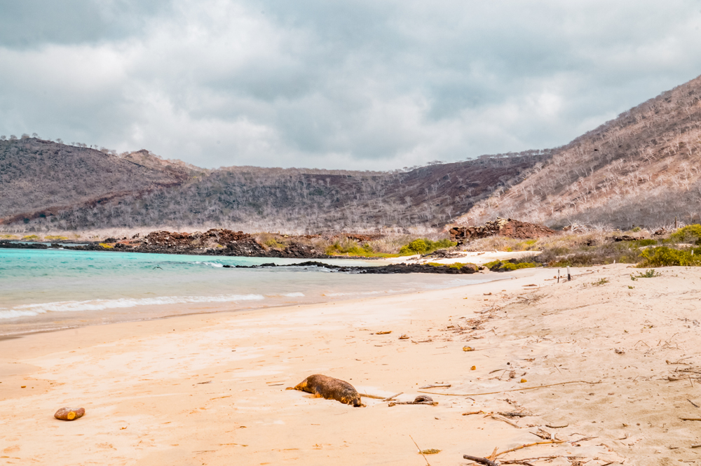 Ecuador bezienswaardigheden Galapagos