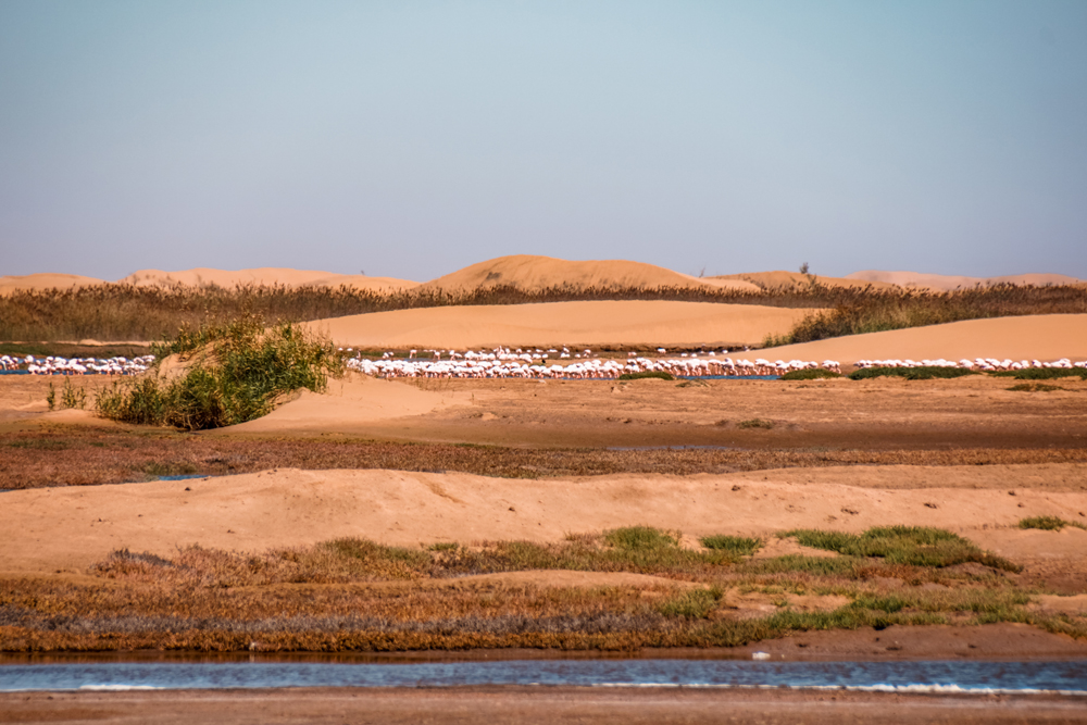 handige dingen en praktische info namibie 3 - Handige dingen om te weten als je naar Namibië reist