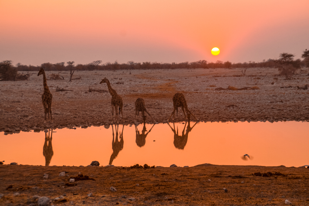 Handige dingen en praktische info Namibië