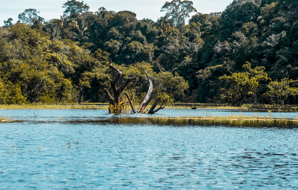 Bestemmingen en bezienswaardigheden brazilie Amazone 4 1 - Deze bestemmingen in Brazilië mag je niet overslaan