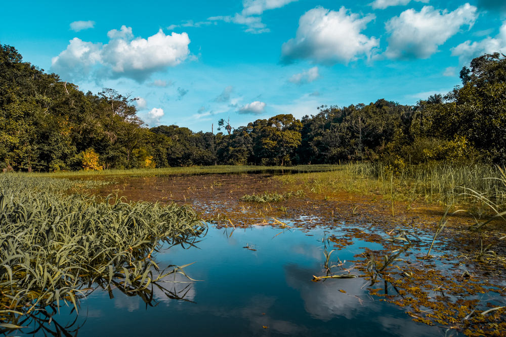 Brazilië bestemmingen en bezienswaardigheden: Amazone