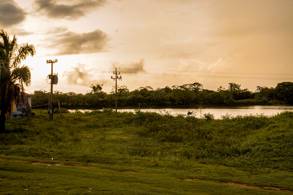 Bestemmingen en bezienswaardigheden brazilie Pantanal 2 1 - Deze bestemmingen in Brazilië mag je niet overslaan