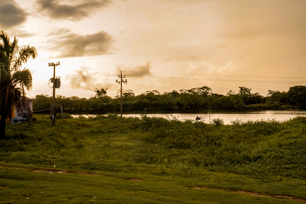 Brazilië bestemmingen en bezienswaardigheden: Pantanal