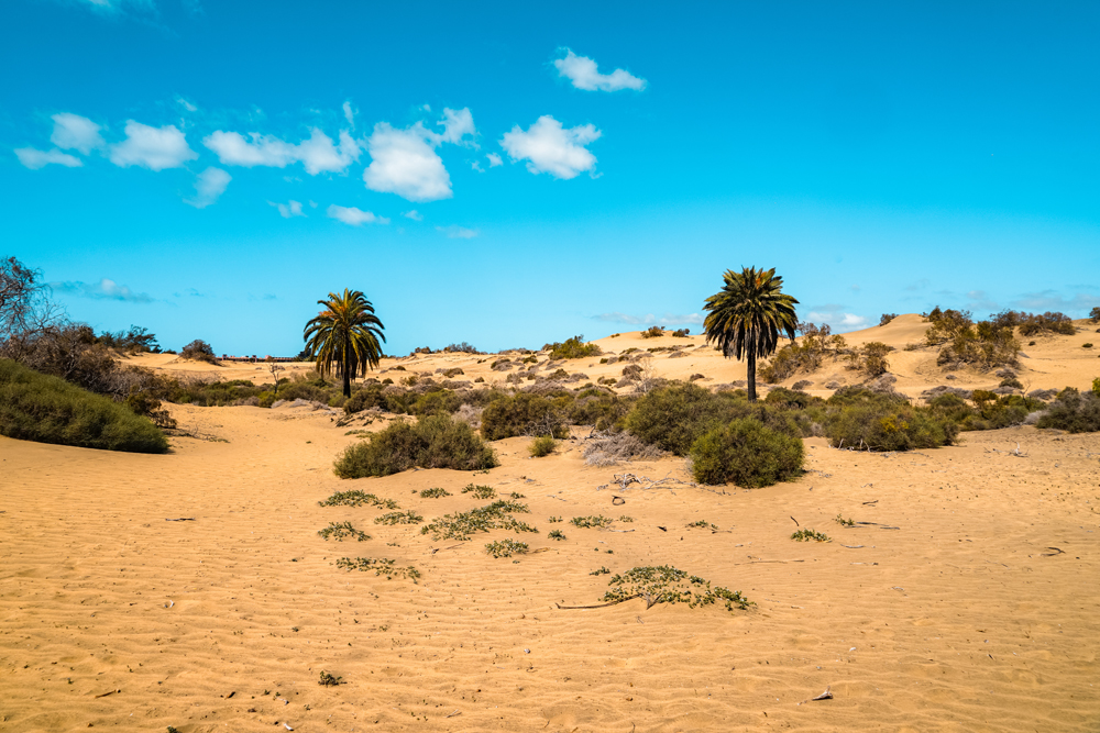 Gran Canaria bezienswaardigheden 15 - Wat te doen in Gran Canaria: tips voor jouw vakantie