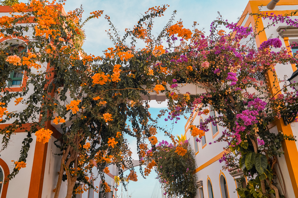 Gran Canaria Puerto de Mogan