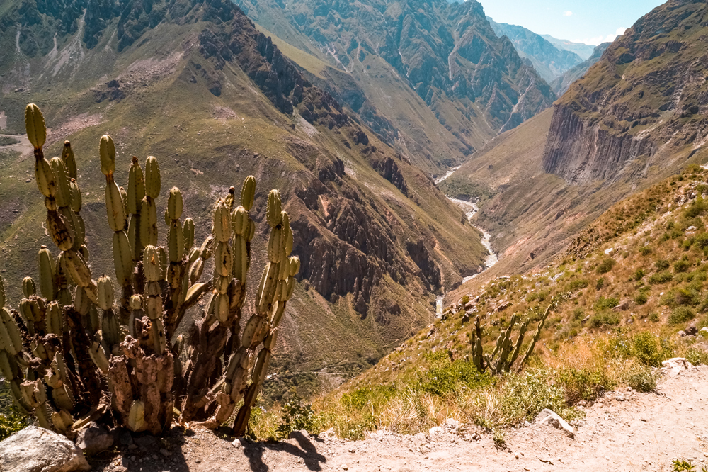 Peru rondreizen Colca Canyon