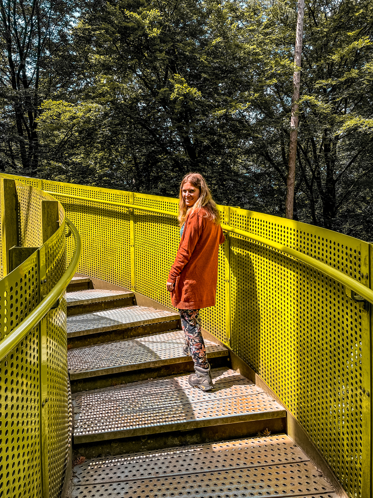 Ermelo bezienswaardigheden bostoren 3 - Ermelo en de Veluwe: dit zijn de dingen om te doen