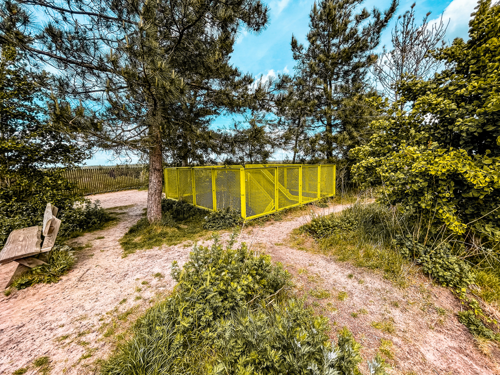 Ermelo bezienswaardigheden bostoren 4 - Ermelo en de Veluwe: dit zijn de dingen om te doen