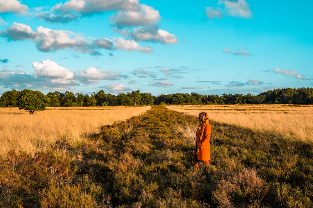 Ermelosche Heide Veluwe 3 - Ermelo en de Veluwe: dit zijn de dingen om te doen