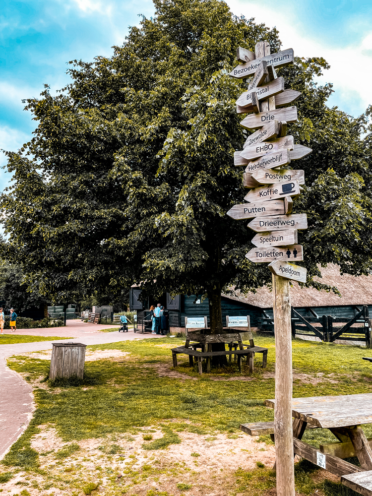 Ermelosche Heide Veluwe 5 - Ermelo en de Veluwe: dit zijn de dingen om te doen