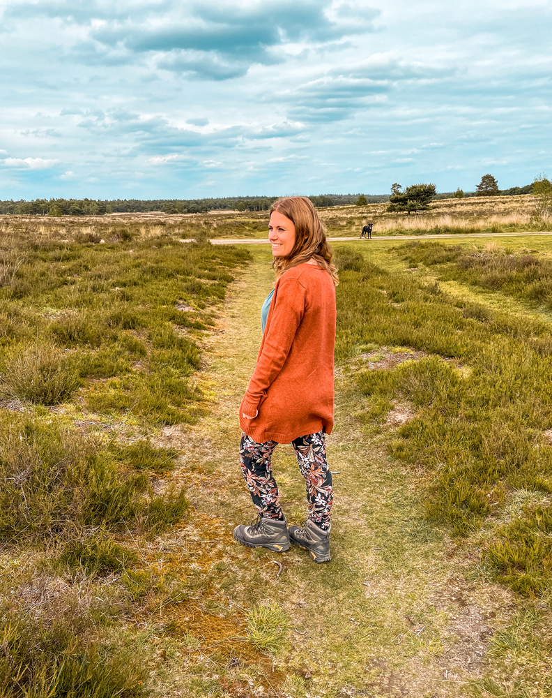 Ermelosche Heide Veluwe 8 - Ermelo en de Veluwe: dit zijn de dingen om te doen