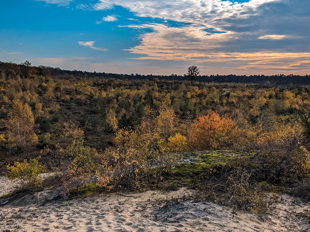 Herfst tips 2 - Tips voor reizigers om deze herfst door te komen