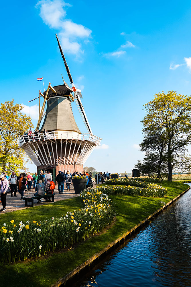 Keukenhof bezoeken 7 - De Keukenhof bezoeken: dit zijn weetjes en tips