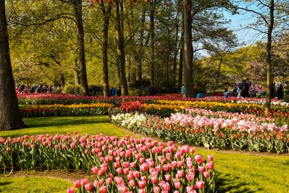 Keukenhof