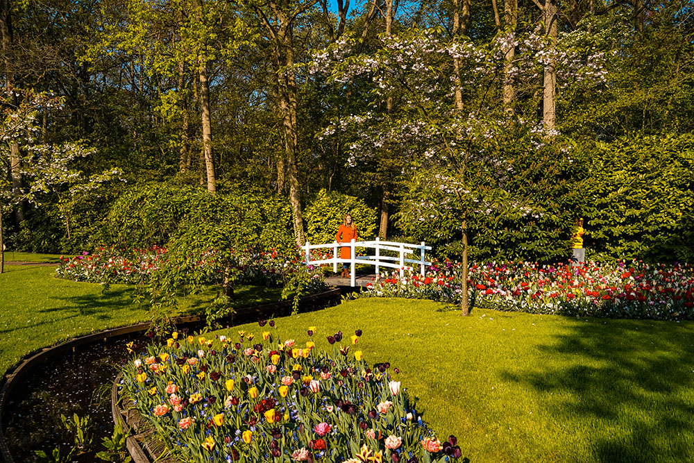 Keukenhof weetjes