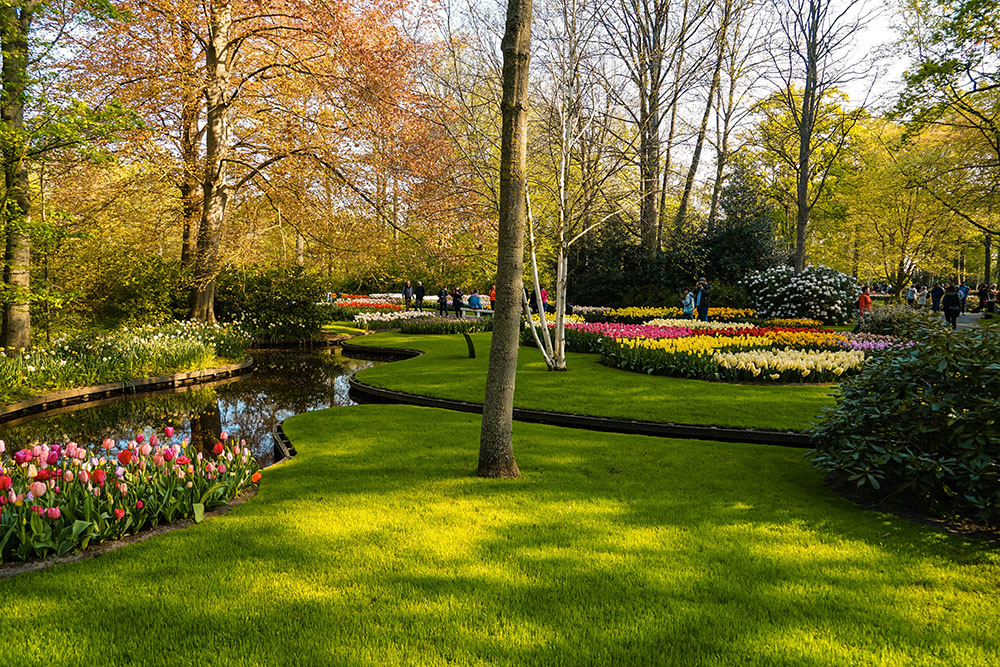 Keukenhof weetjes - De Keukenhof bezoeken: dit zijn weetjes en tips