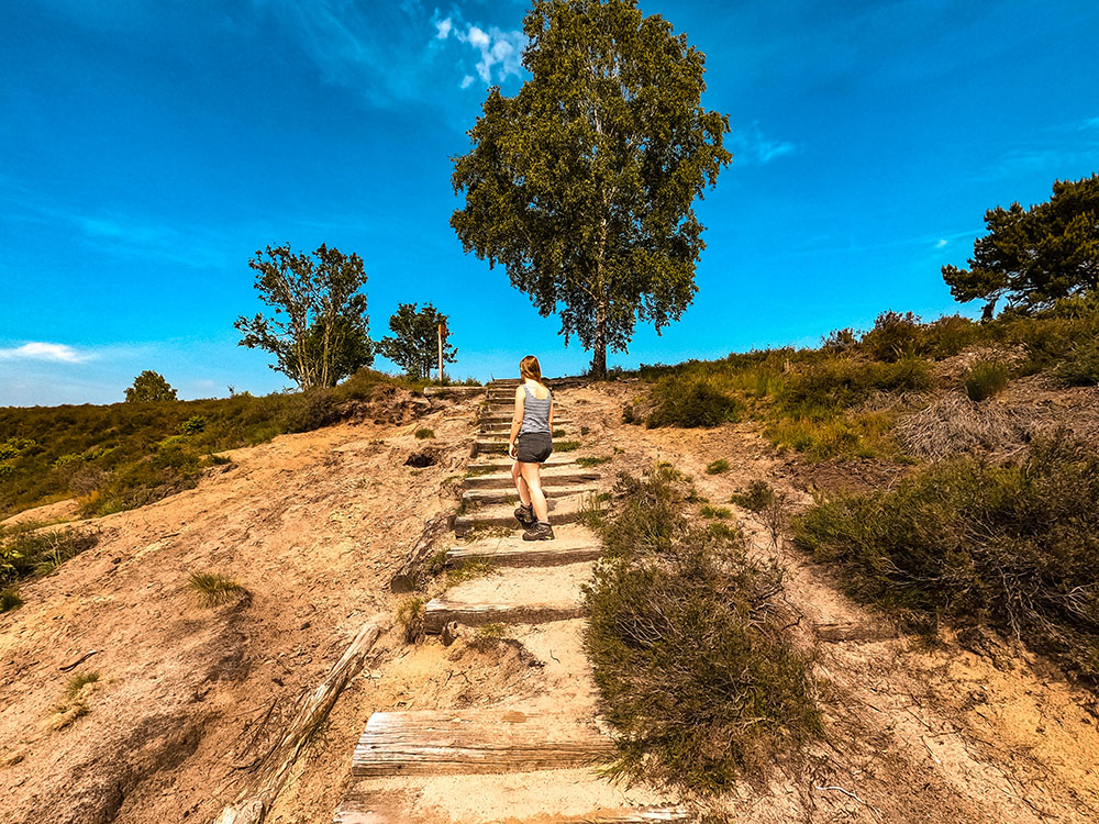 wandelroute vinden