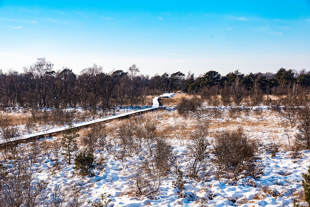 wandelroute vinden - Inspiratie voor wandelroutes: dit zijn handige websites en apps